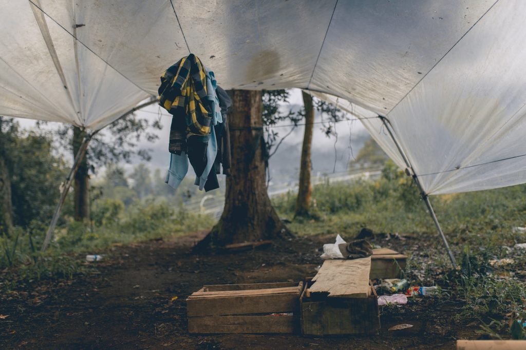 Tarp shelter - rain cover