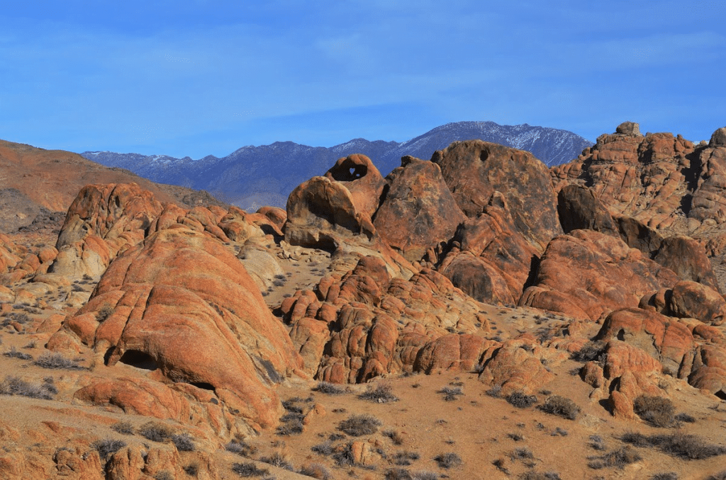 Alabama Hills lone pine