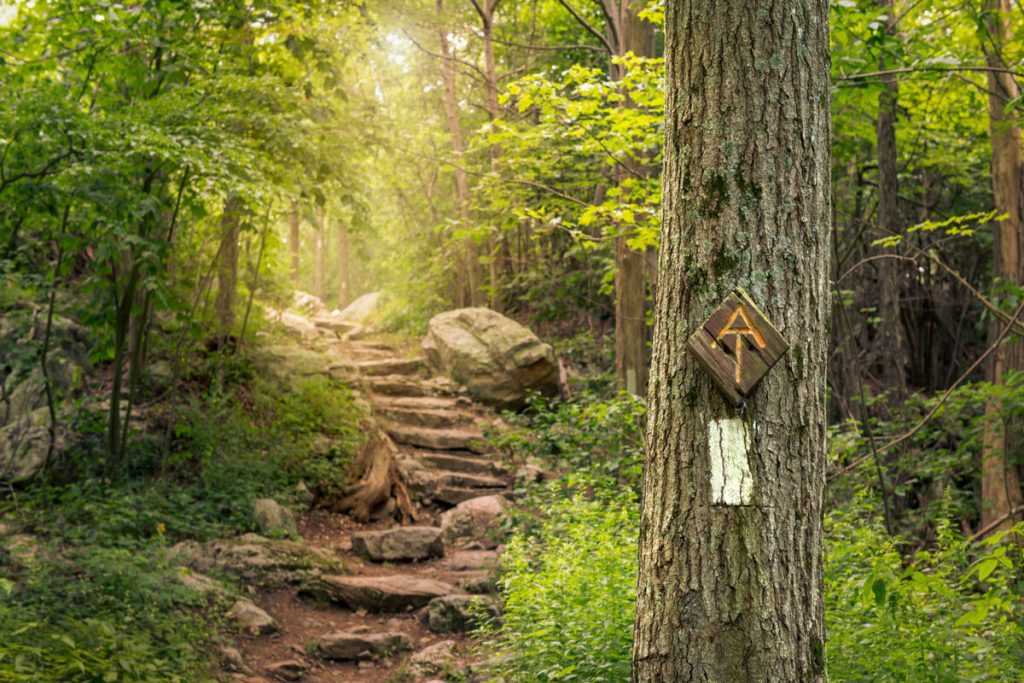 appalachian trail vs pacific crest trail