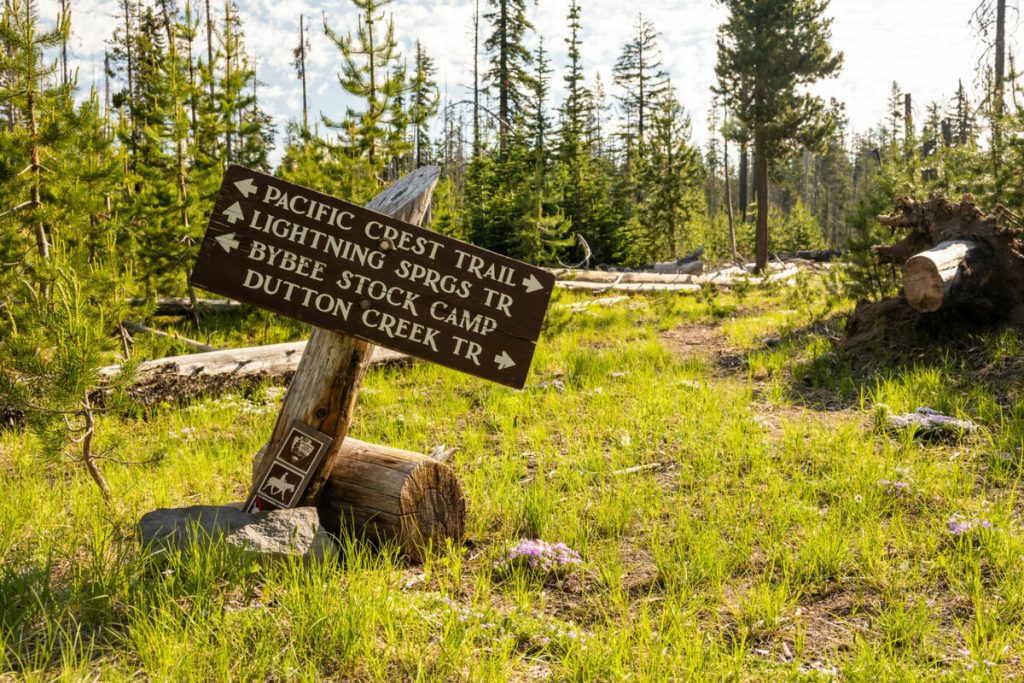 Pacific crest trail